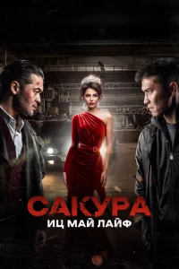 <h1>Сакура</h1>