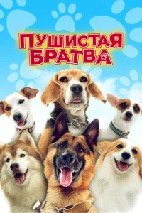 <h1>Пушистая братва</h1>