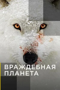 <h1>Враждебная планета</h1>