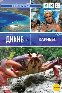 <h1>BBC: Дикие Карибы</h1>