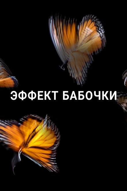 <h1>Эффект бабочки</h1>