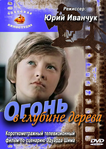 <h1>Огонь в глубине дерева</h1>