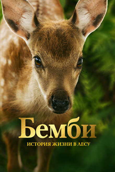 <h1>Бемби. История жизни в лесу</h1>