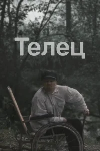 <h1>Телец</h1>