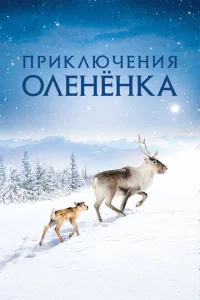 <h1>Приключения оленёнка</h1>