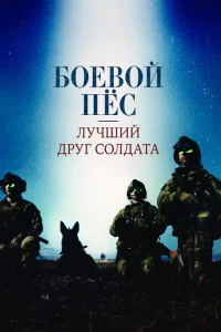 <h1>Боевой пес: Лучший друг солдата</h1>