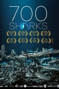 <h1>700 акул</h1>