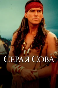 <h1>Серая сова</h1>