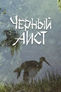 <h1>Черный аист</h1>