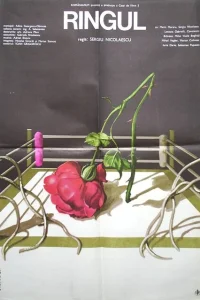 <h1>Жестокий ринг</h1>