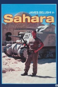 <h1>Сахара</h1>