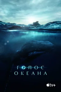 <h1>Голос Океана</h1>