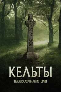 <h1>Кельты: Нерассказанная история</h1>