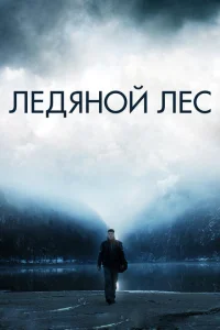 <h1>Ледяной лес</h1>