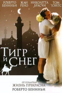 <h1>Тигр и снег</h1>