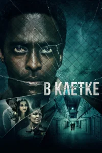 <h1>В клетке</h1>