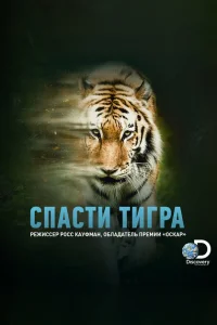 <h1>Спасти тигра</h1>