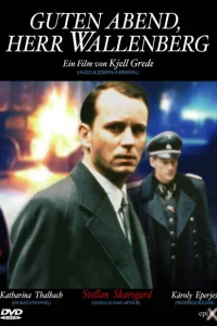 <h1>Добрый вечер, господин Валленберг</h1>