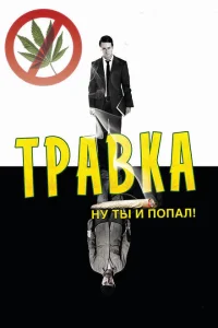 <h1>Травка</h1>