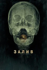 <h1>Залив</h1>